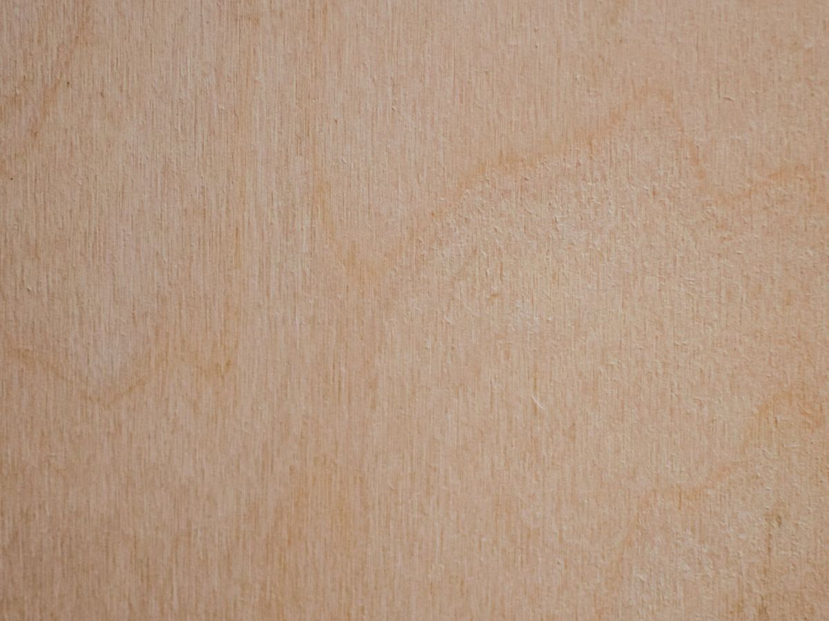 The face veneer of a plywood sheet, showing an even, unpatched surface