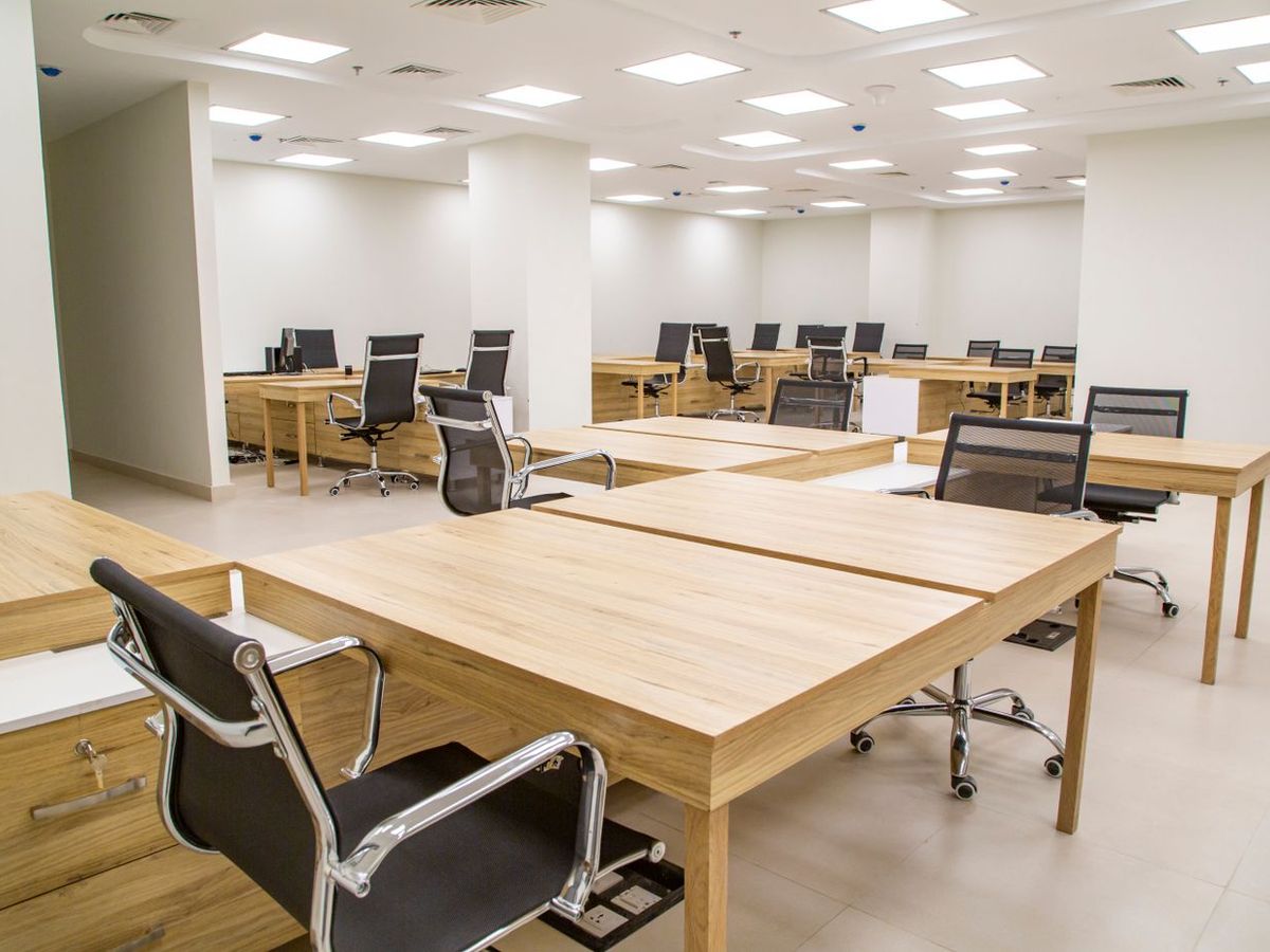Rows of light timber office workstations in a fitted-out floor